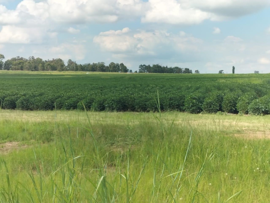 0 Bedroom Property for Sale in Bethlehem Rural Free State